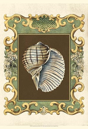 Framed Small Mermaid&#39;s Shells I Print