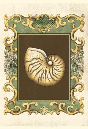 Framed Small Mermaid&#39;s Shells II Print