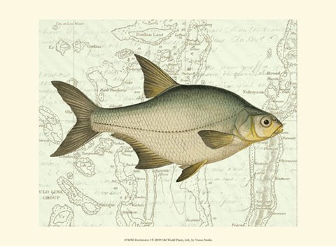 Framed Freshwater I Print