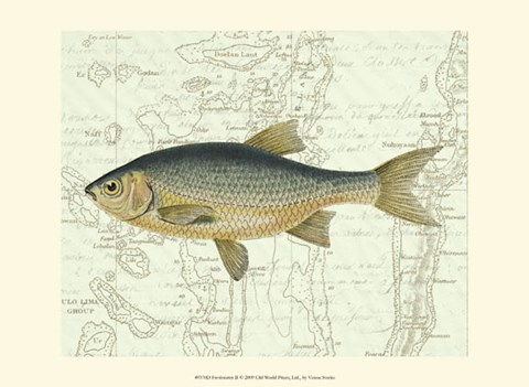 Framed Freshwater II Print