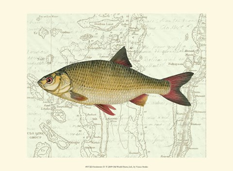 Framed Freshwater IV Print