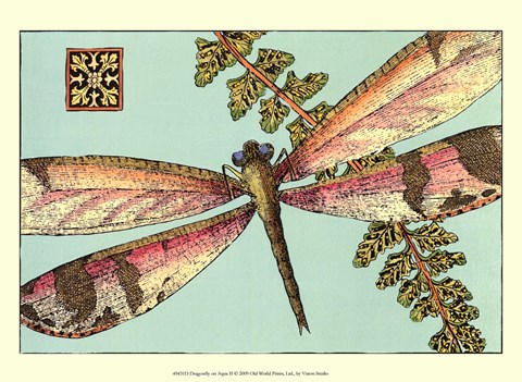 Framed Dragonfly on Aqua II Print