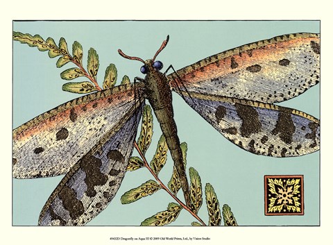 Framed Dragonfly on Aqua III Print