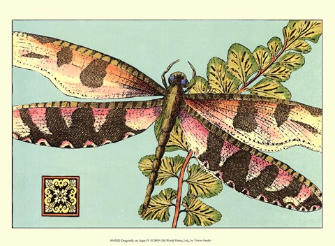 Framed Dragonfly on Aqua IV Print