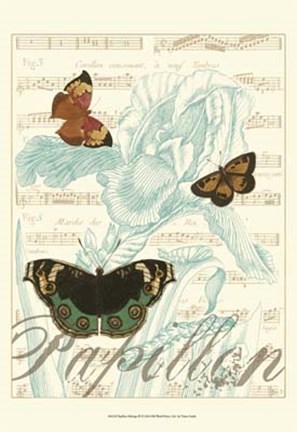 Framed Papillon Melange III Print