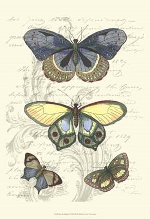 Framed Butterfly Delight II Print