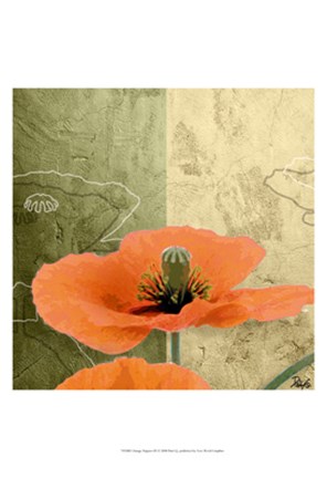 Framed Orange Poppies III Print