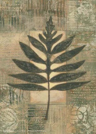 Framed Leaf Textures I Print