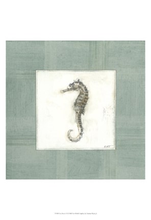 Framed Sea Breeze VI Print