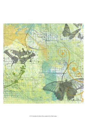 Framed Butterflies II Print