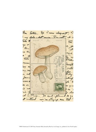Framed Mushrooms II Print