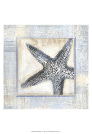 Framed Driftwood Memories IV Print