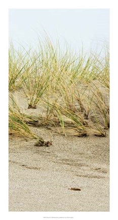Framed Dunes II Print