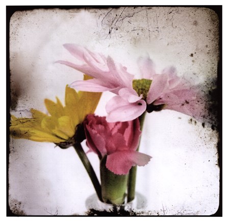 Framed Summer Memory II Print