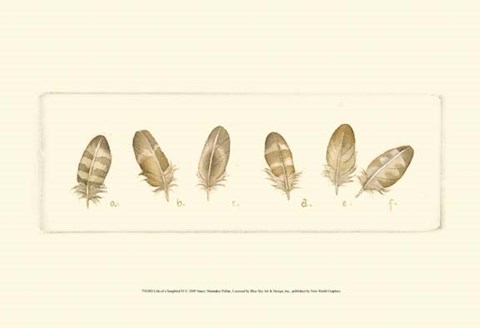 Framed Life of a Songbird IV Print