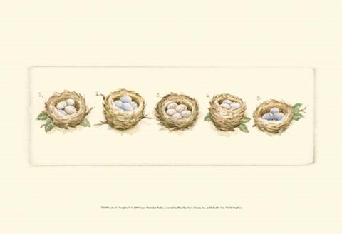 Framed Life of a Songbird V Print