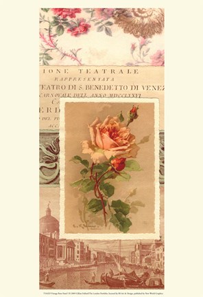 Framed Vintage Rose Panel I Print