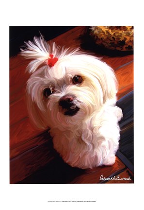 Framed Mini Maltese Print