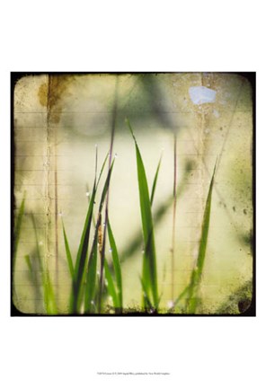 Framed Green II Print