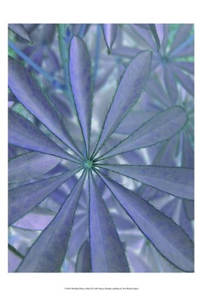 Framed Woodland Plants in Blue II Print