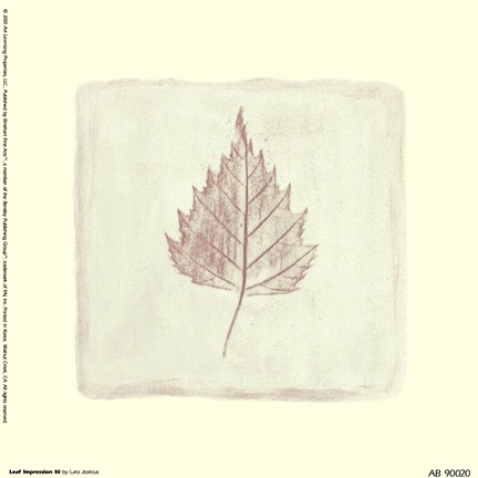 Framed Leaf Impression lll Print