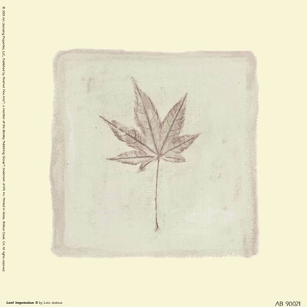 Framed Leaf Impression ll Print