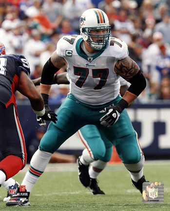 Framed Jake Long 2010 Action Print