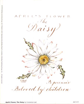 Framed April&#39;s Flower, The Daisy Print