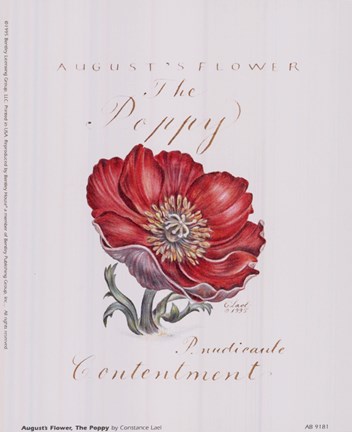 Framed August&#39;s Flower, The Poppy Print