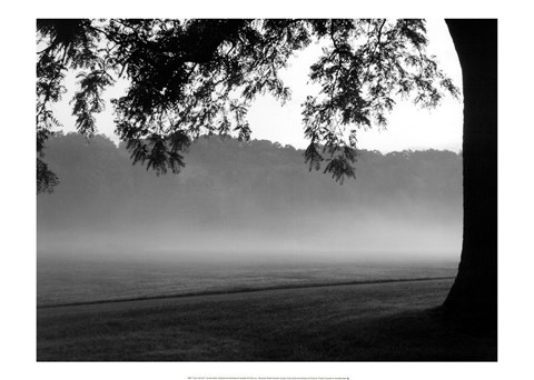 Framed Fog in the Park I Print
