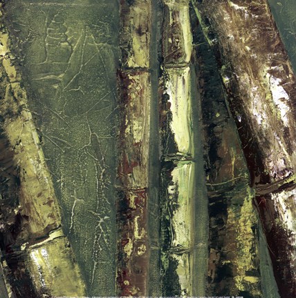 Framed Bamboo Columbia I Print