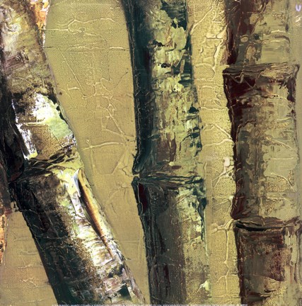 Framed Bamboo Columbia IV Print