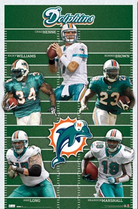 Framed Dolphins - Team 2010 Print