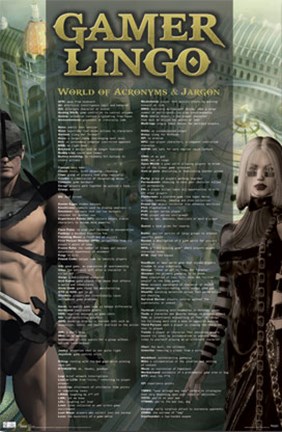 Framed Gamer Lingo Print