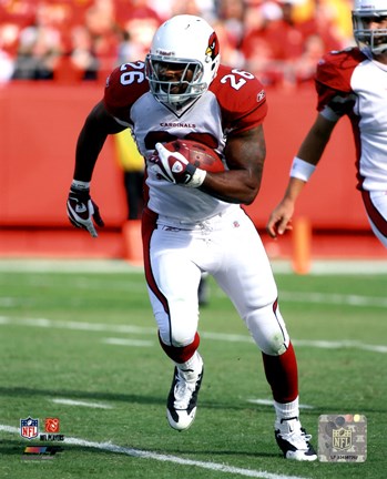 Framed Beanie Wells 2010 Action Print