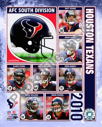 Framed 2010 Houston Texans Team Composite Print