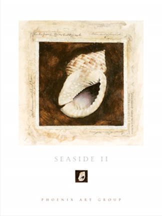 Framed Seaside II Print