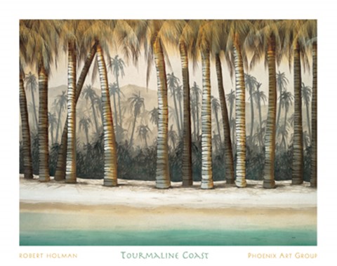Framed Tourmaline Coast Print