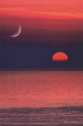 Framed Coastal Sunset Portrait Print