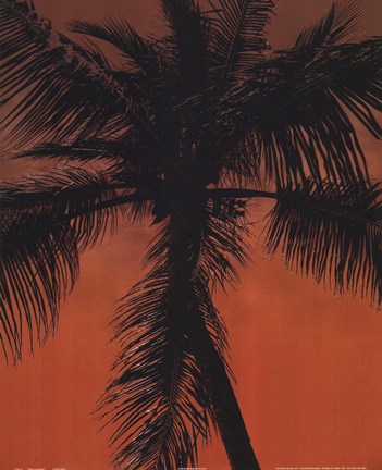 Framed Palm on Orange Print