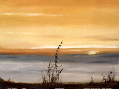 Framed Early Morning II Print