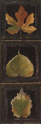 Framed Three Leaves I Print