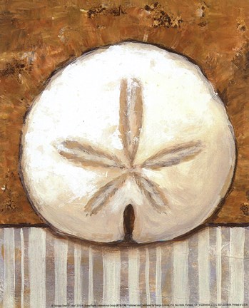 Framed Vintage Shell Iv- mini Print