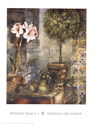 Framed Hidden Grace I Print