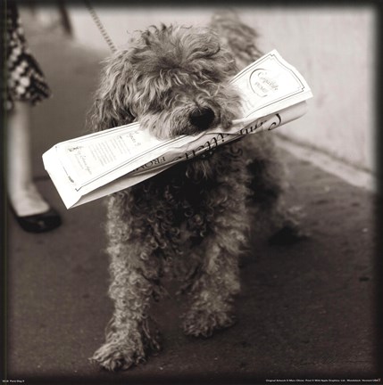 Framed Paris Dog II Print