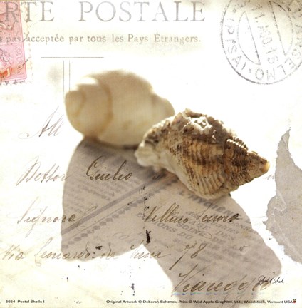 Framed Postal Shells I Print