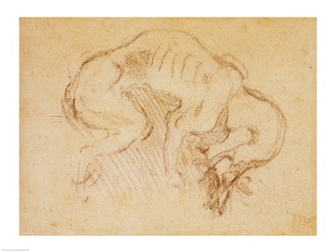 Framed Study of a dog Print