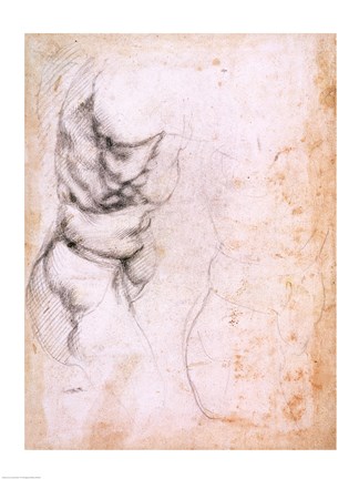 Framed Study of torso and buttock Print