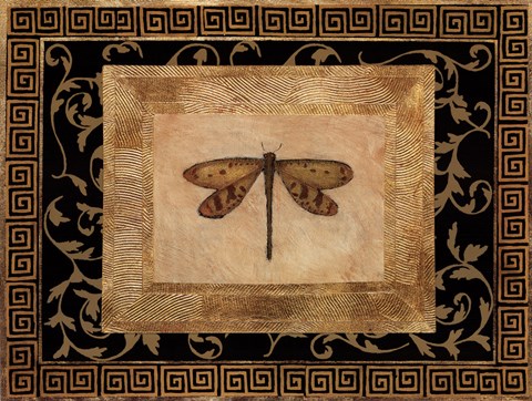 Framed Dragon Fly I Print