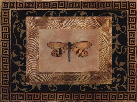 Framed Dragon Fly II Print